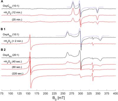 The Cytochrome P450 OxyA from the Kistamicin Biosynthesis Cyclization Cascade is Highly Sensitive to Oxidative Damage